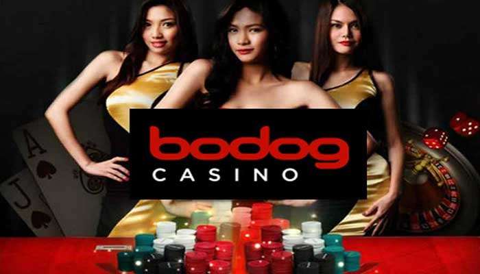 bodog-casino