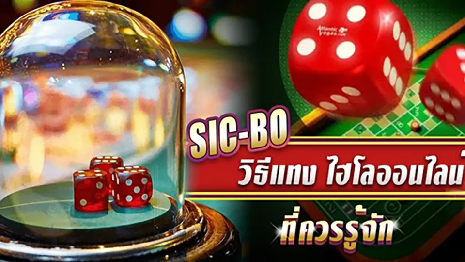 เคล็ดลับการเลือกเว็บไซต์ซิกโบ